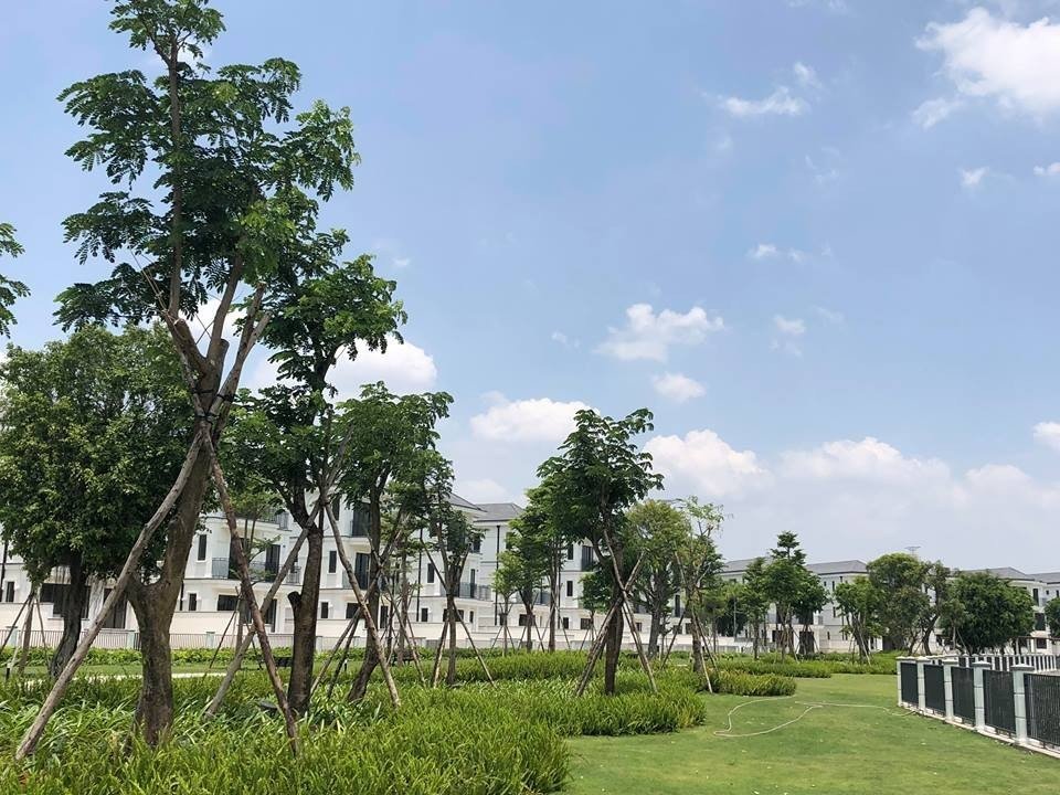 biệt thự đơn lập nine south ven sông