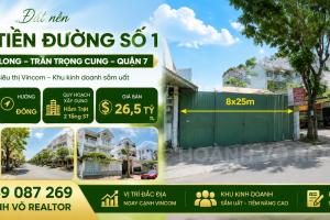 Nhà phố Trần Trọng Cung Quận 7