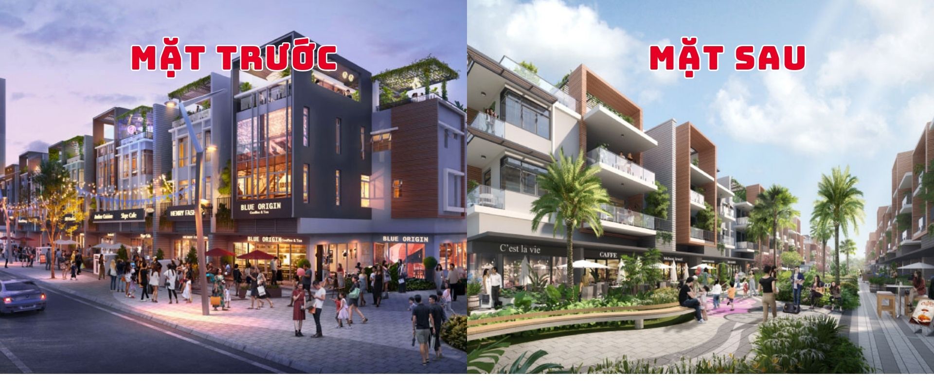 thiết kế mặt trước và sau celesta avenue